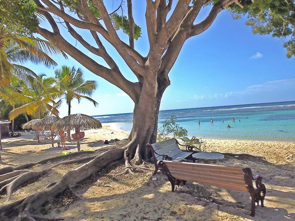 Anse Des Rochers-Studio Zabrico Saint-Francois